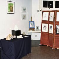 IMG_1868.jpg