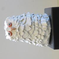 IMG_6249.JPG