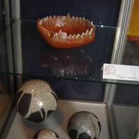 tentoonst._bibl._maart_2010_005.jpg