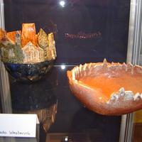 tentoonst._bibl._maart_2010_020.jpg